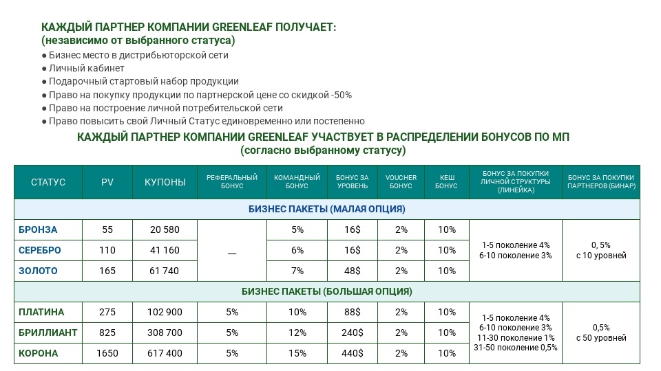 1300278 6cb66b71 1(таблица бонусов)Паинт